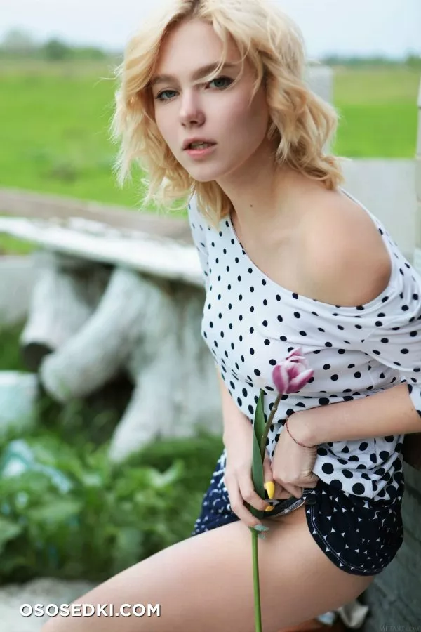 Scarlet - Cabin Life - Photo 19