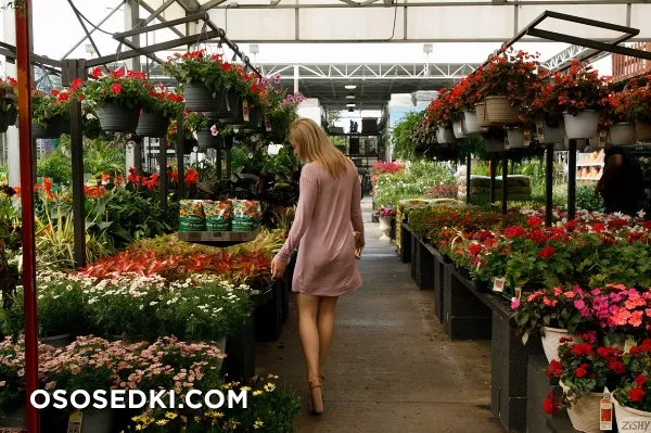 Serena Avary Highs And Lowes - Photo 38