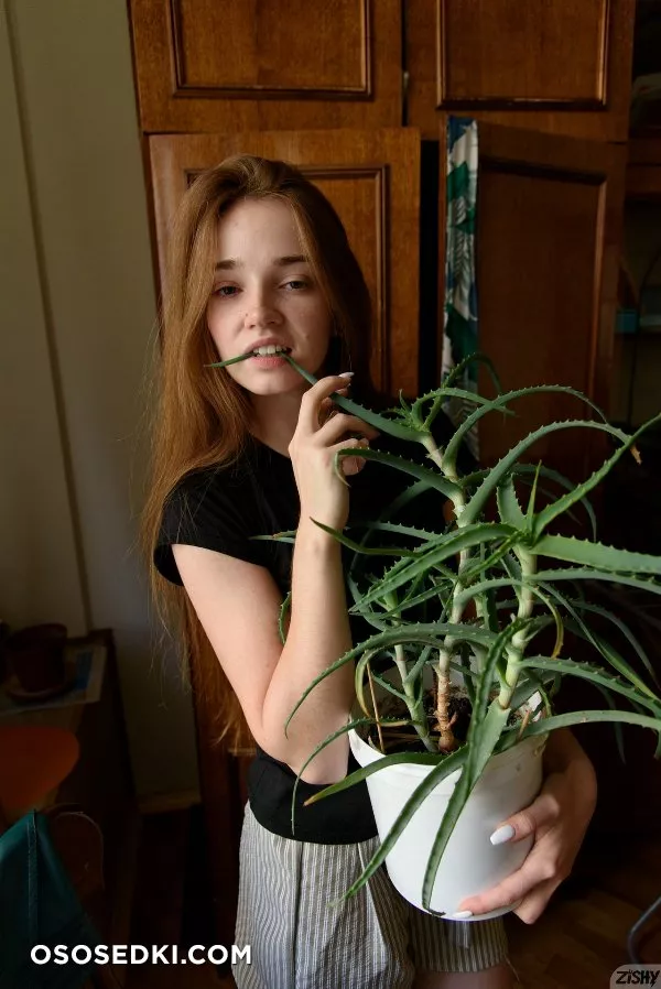Olga Cee Inverted Introvert - Photo 11
