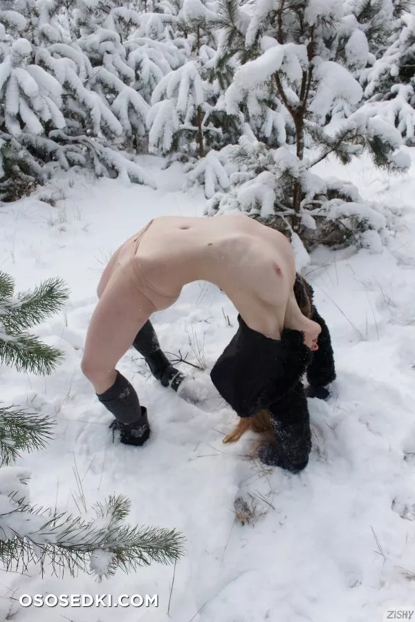 Lida Nowak Snow Is Quiet - Photo 37