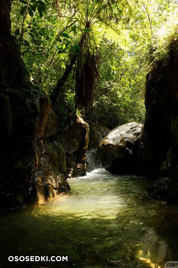Ileana Burgos Amoeba Falls - Photo 1