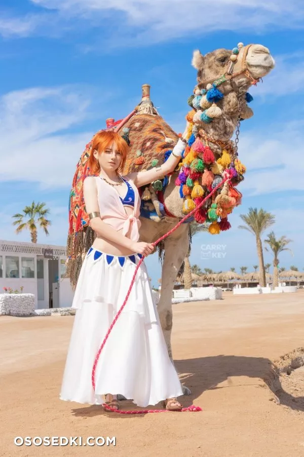 CarryKey. Nami. One Piece - Photo 26