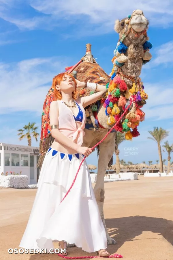 CarryKey. Nami. One Piece - Photo 27