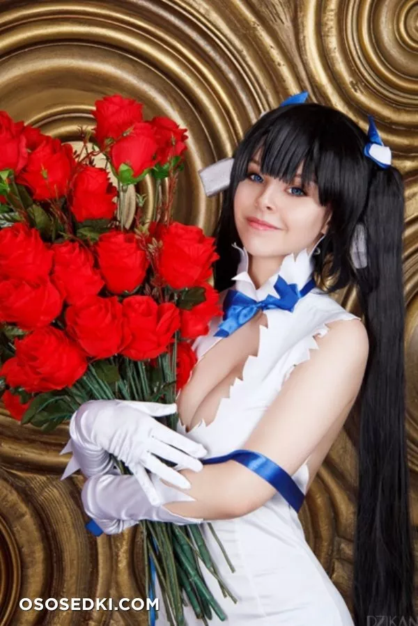 Hestia | Danmachi | Helly Von Valentine - Photo 2