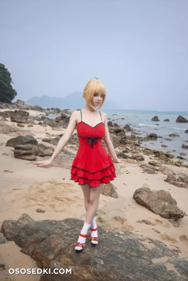 Saber | Fate Series | Helly von Valentine - Photo 1