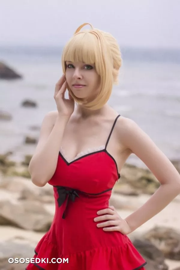 Saber | Fate Series | Helly von Valentine - Photo 4