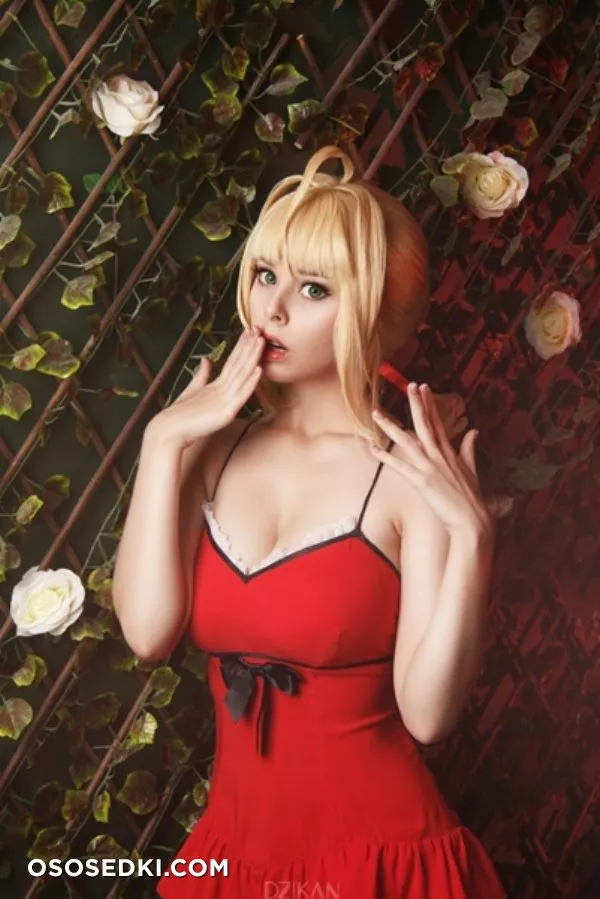 Saber | Fate Series | Helly von Valentine - Photo 7