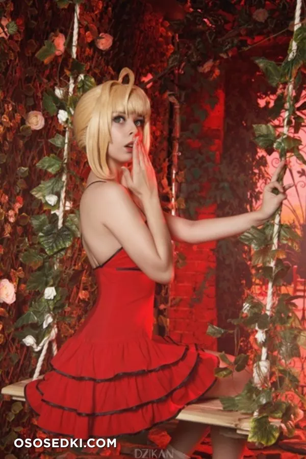 Saber | Fate Series | Helly von Valentine - Photo 8