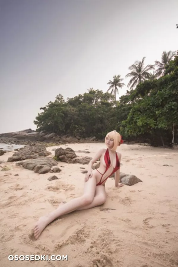 Saber | Fate Series | Helly von Valentine - Photo 24