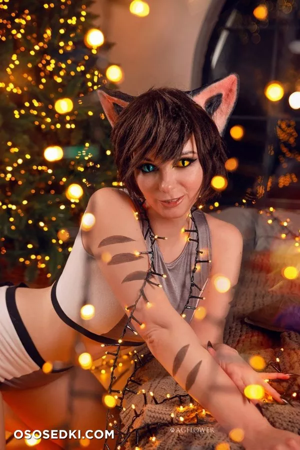 Catra - Photo 12