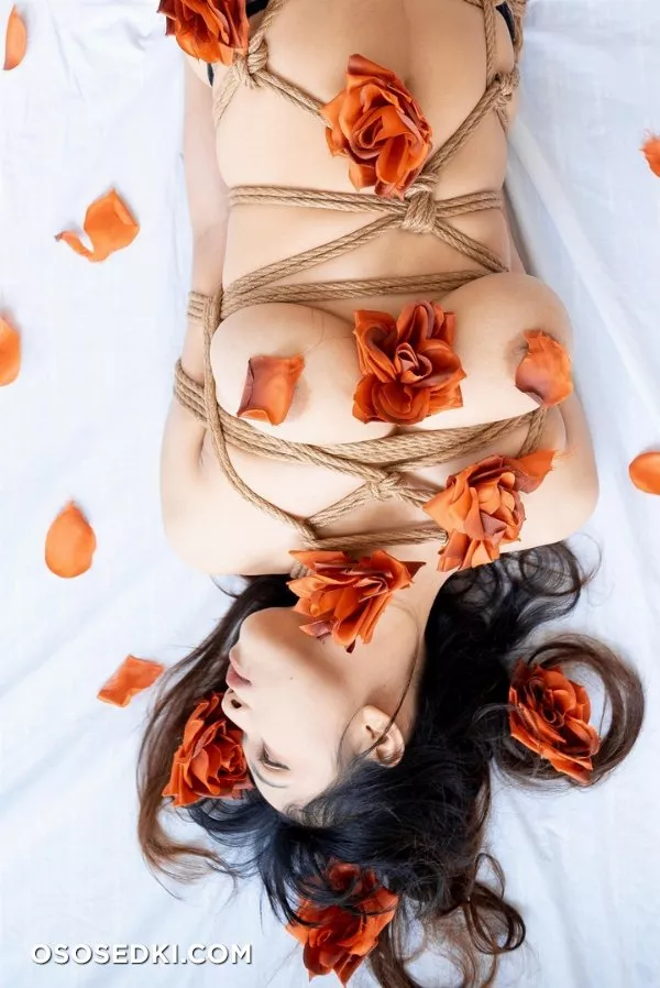 RoseMelle - Rose x Rope - Photo 1
