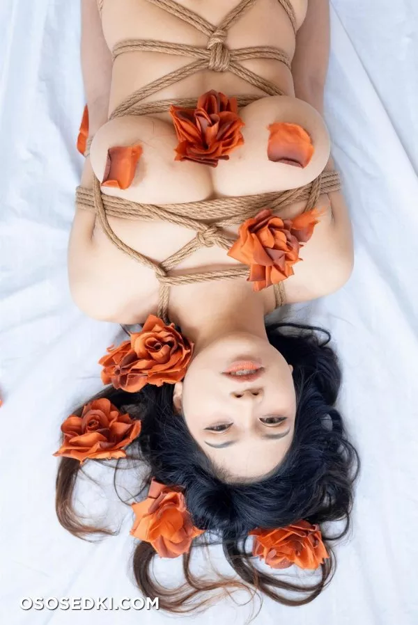 RoseMelle - Rose x Rope - Photo 4