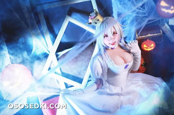 Yurihime | Super Mario | Boosette - Photo 6