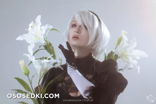 2b - Photo 1