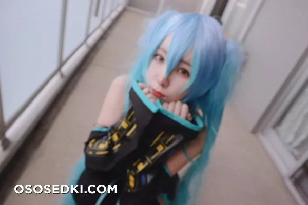 Hatsune Miku - Photo 23