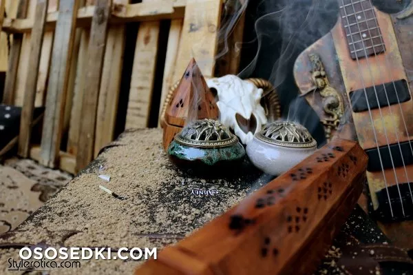 Aelflaed - Aelflaed's Camp - Photo 6
