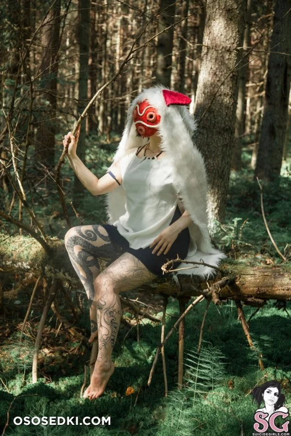 nate_karanlit		Fandom: Princess Mononoke 	 - Photo 1