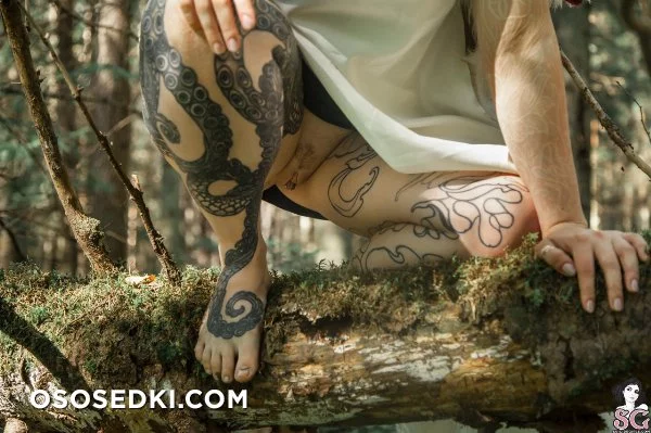 nate_karanlit		Fandom: Princess Mononoke 	 - Photo 3