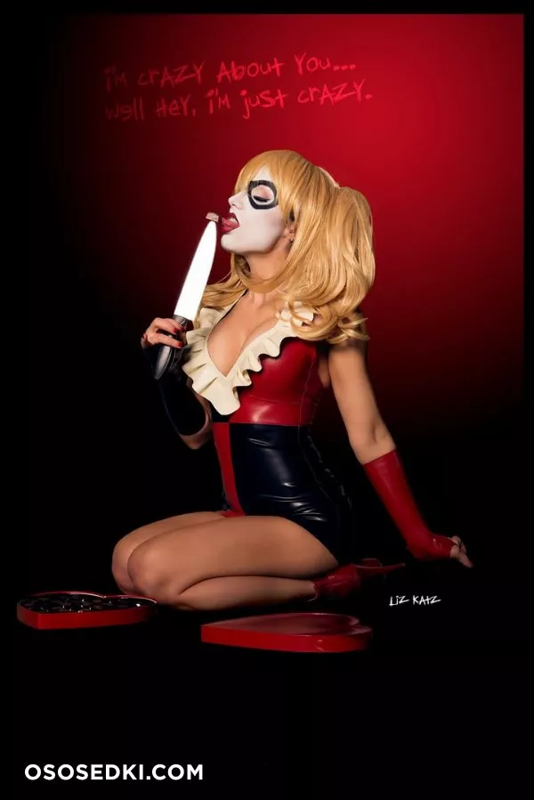 Liz Katz - DC Comics  Harley Quinn - Photo 10