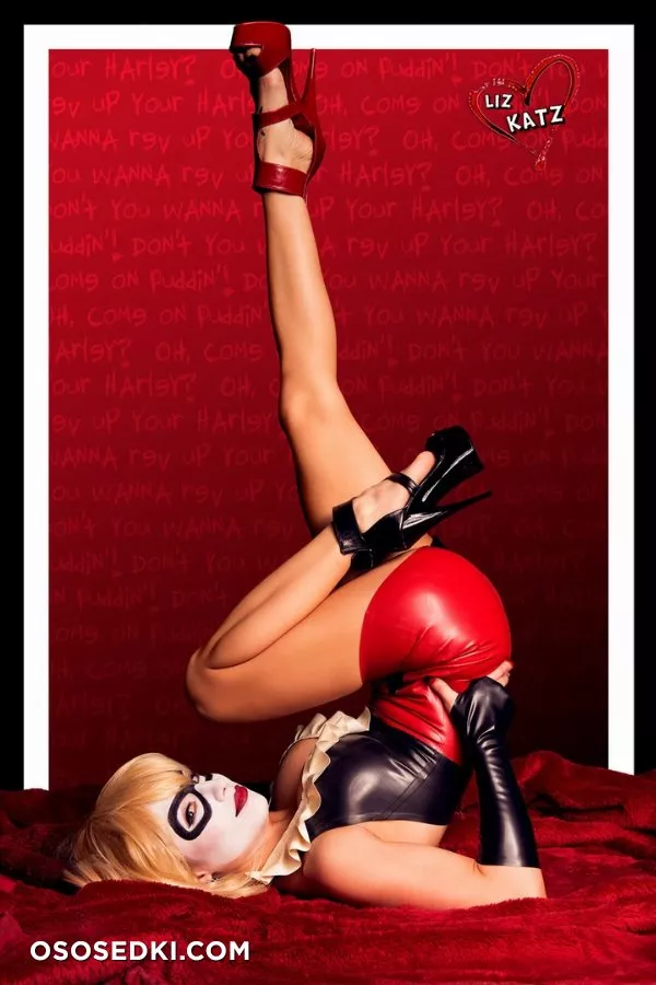 Liz Katz - DC Comics  Harley Quinn - Photo 11