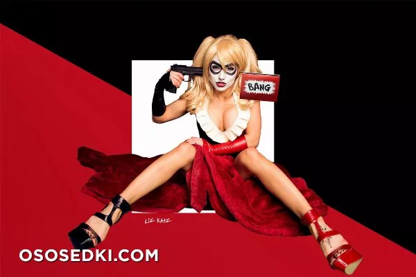 Liz Katz - DC Comics  Harley Quinn - Photo 12