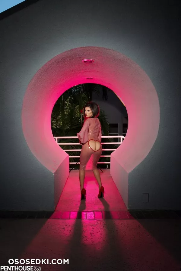 Darcie Dolce 3 - Photo 63