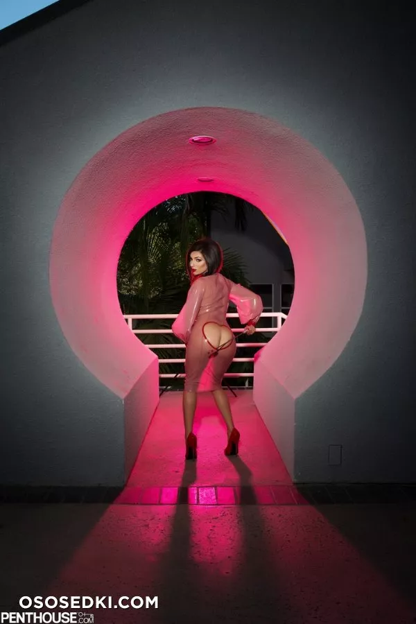 Darcie Dolce 3 - Photo 65