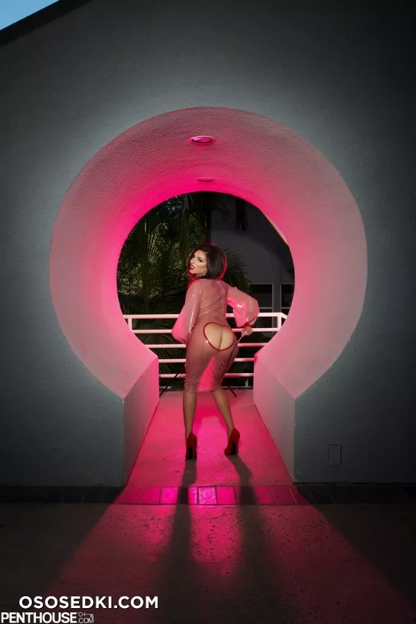 Darcie Dolce 3 - Photo 66