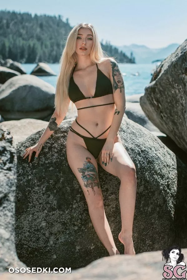 Graysin - Photo 59