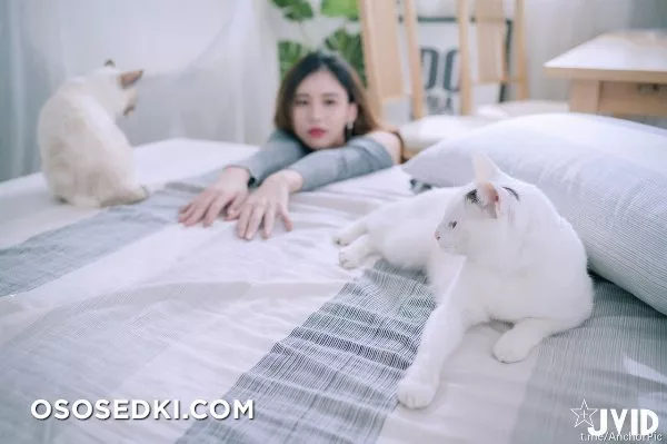 [JVID] Jessica - 到友人家看猫 被强制高潮 93P - Photo 2