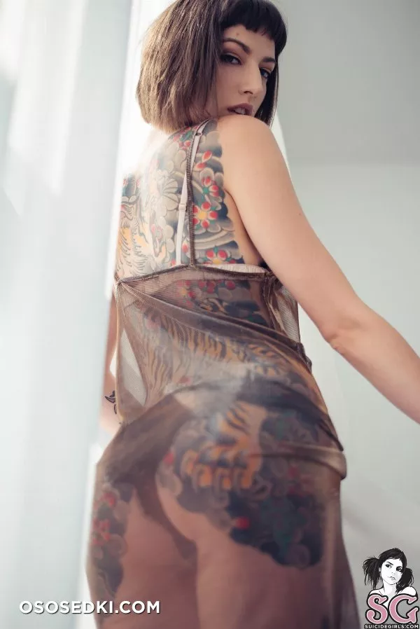 Missfernandez - Photo 453
