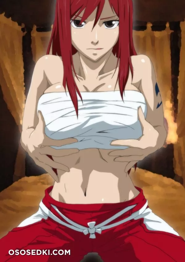Fairy Tail - Erza Scarlet - Photo 1