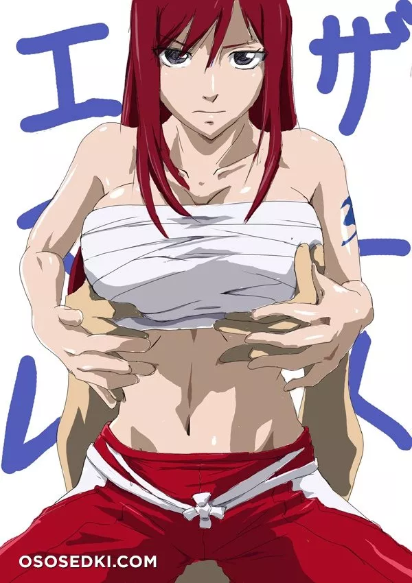 Fairy Tail - Erza Scarlet - Photo 2