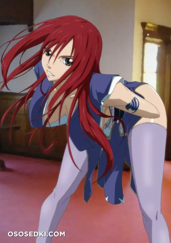 Fairy Tail - Erza Scarlet - Photo 22