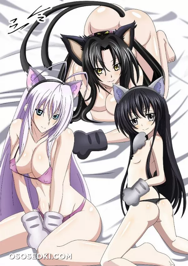 high school dxd - Photo 29