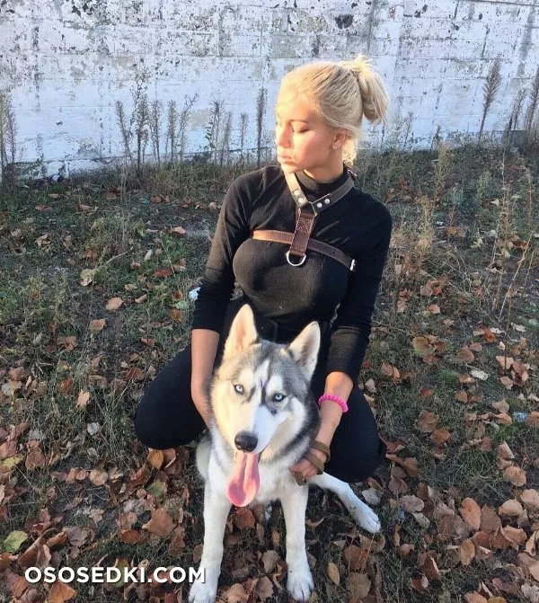 Alknwt - Photo 7
