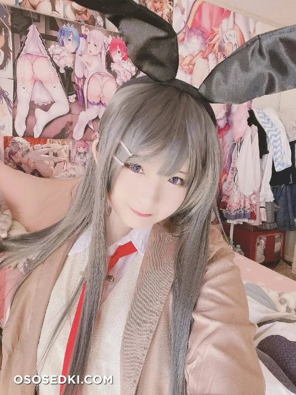 Mai Sakurajima (Seishun ButaYarou WA Bunny Girl Senpai No Yume Wo Minai) Misa呆呆 - Photo 1