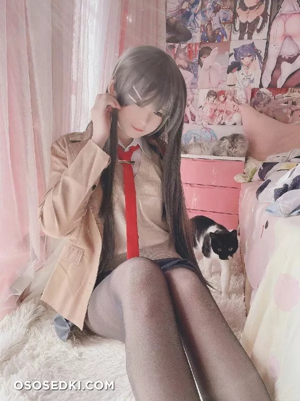Mai Sakurajima (Seishun ButaYarou WA Bunny Girl Senpai No Yume Wo Minai) Misa呆呆 - Photo 3