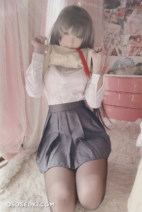 Mai Sakurajima (Seishun ButaYarou WA Bunny Girl Senpai No Yume Wo Minai) Misa呆呆 - Photo 15