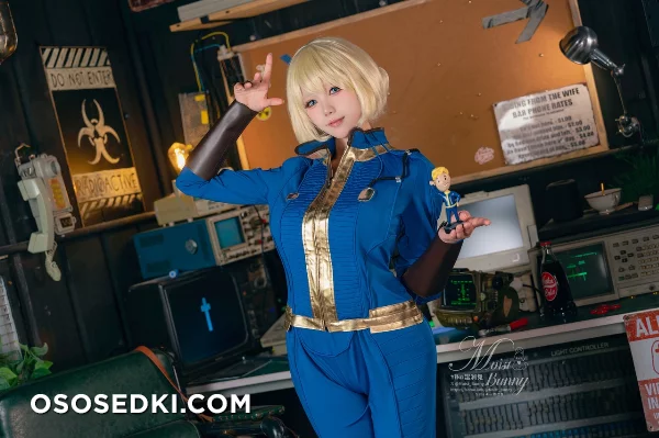 Vault Dweller (Fallout) - Yaokoututu 咬人小小兔 - Photo 11