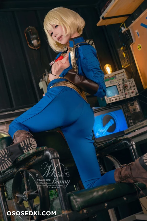 Vault Dweller (Fallout) - Yaokoututu 咬人小小兔 - Photo 35