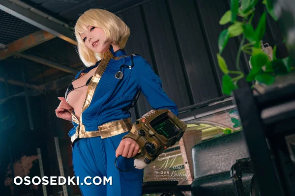 Vault Dweller (Fallout) - Yaokoututu 咬人小小兔 - Photo 38
