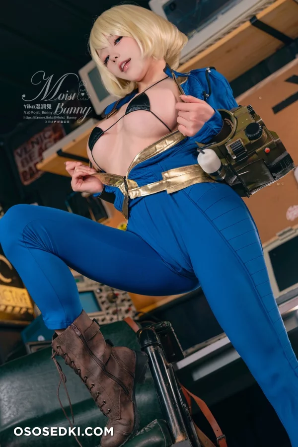 Vault Dweller (Fallout) - Yaokoututu 咬人小小兔 - Photo 41