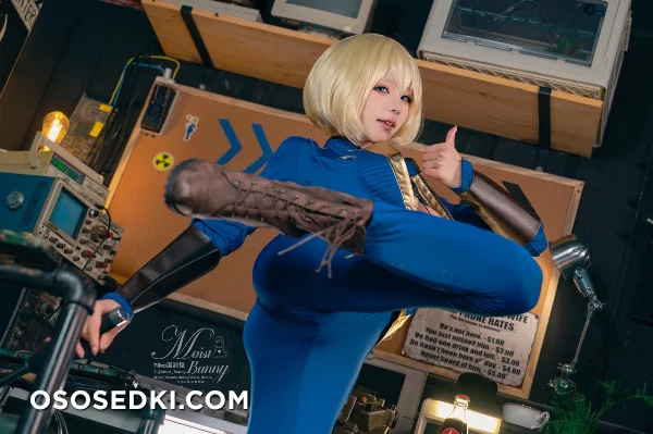 Vault Dweller (Fallout) - Yaokoututu 咬人小小兔 - Photo 48