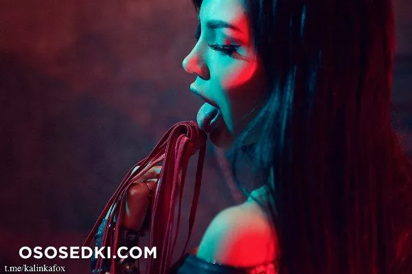 Kalinka Fox BDSM Hotel - Photo 17
