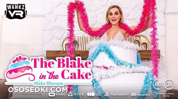 Blake Blossom - The Blake In The Cake -  WankzVR - Photo 132