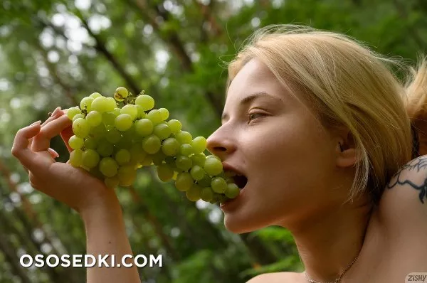 Bianca Bell Has A Picnicc - Zishy - Photo 42