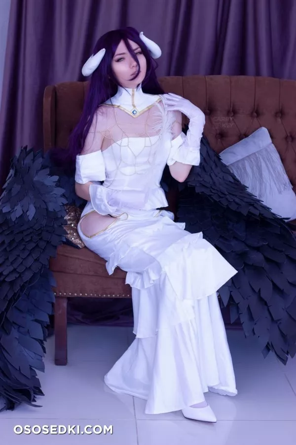 Carry Key | Albedo - Photo 22
