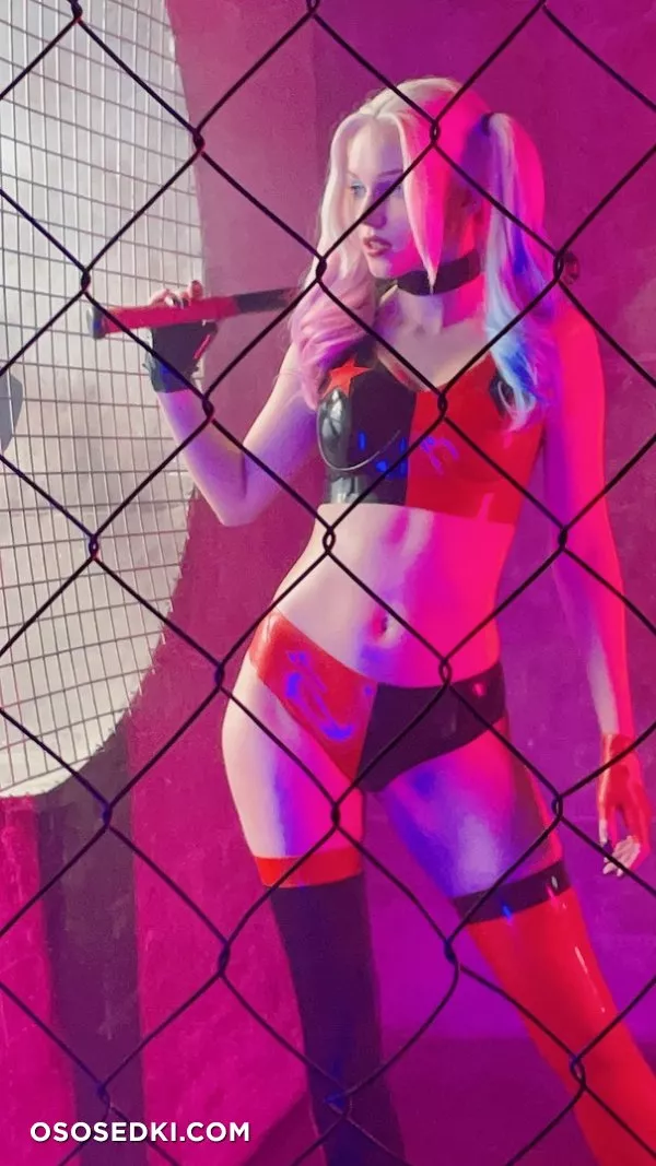 Shirogane | Harley Quinn - Photo 68