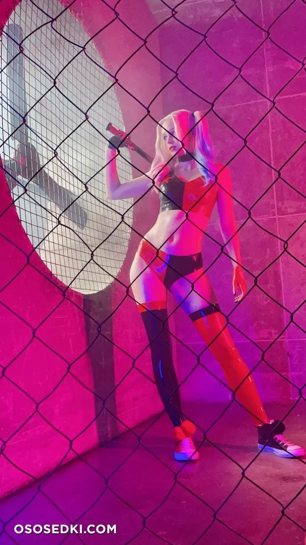 Shirogane | Harley Quinn - Photo 69
